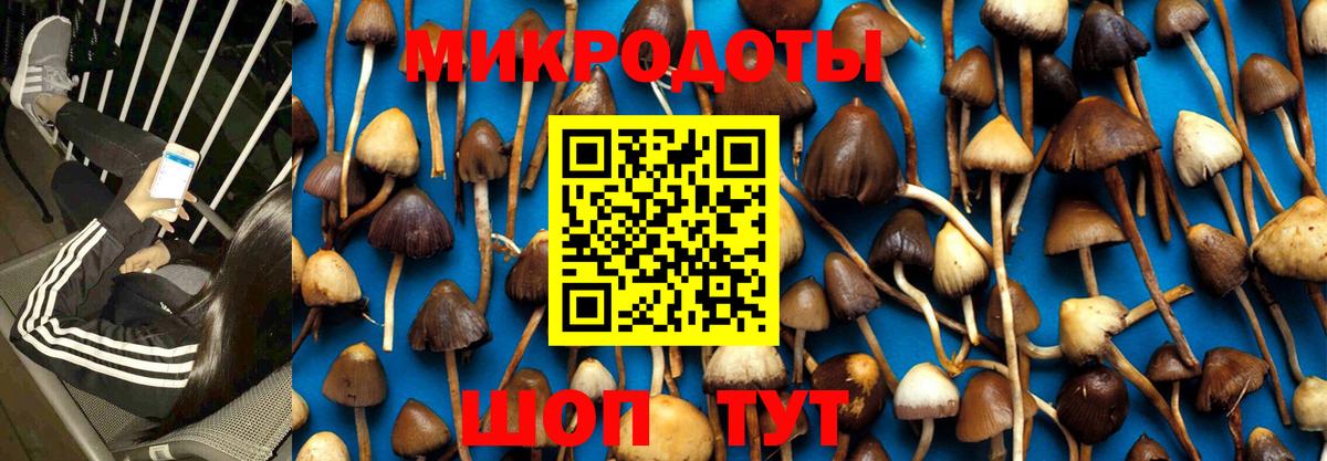 Галлюциногенные грибы прущие грибы  купить   Северобайкальск  Галлюциногенные грибы мицелий  Вход с VPN 